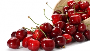 Cherry Đỏ Jumbo Mỹ