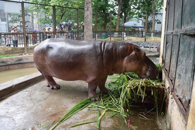 Công viên Thủ Lệ