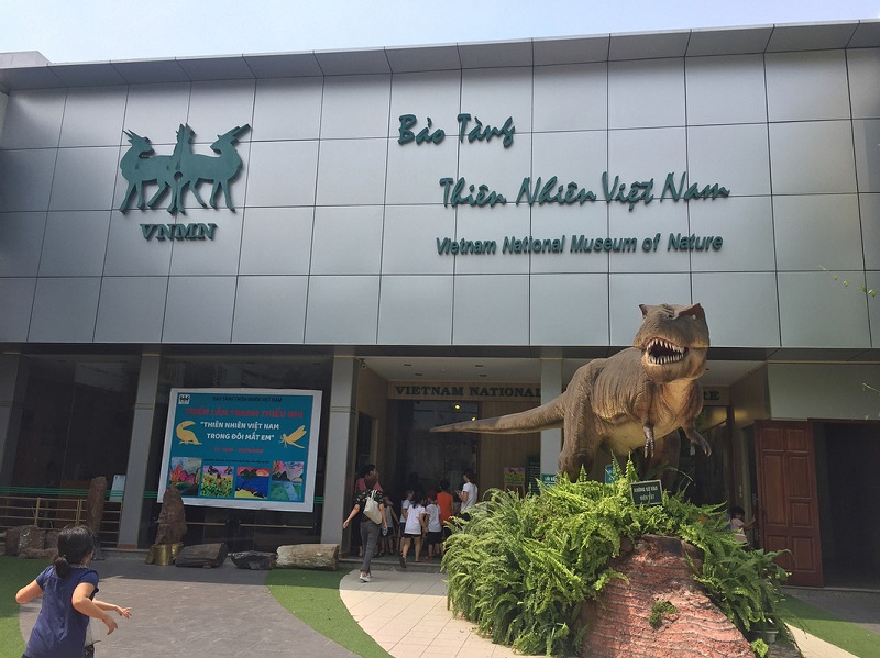 Bảo tàng Thiên Nhiên Việt Nam - Địa điểm vui chơi cho trẻ em