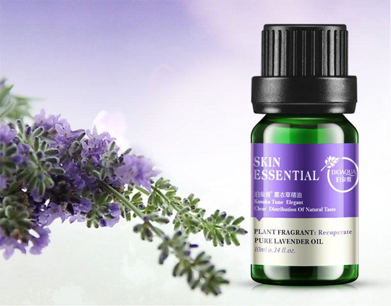 Tinh dầu oải hương Lavender